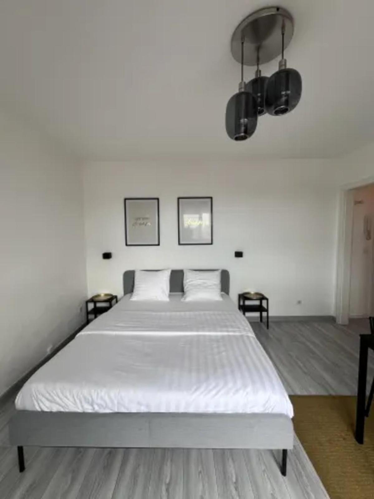 Cosy Rent Strasbourg Wifi Terrasse St Aloise Villa Exterior photo